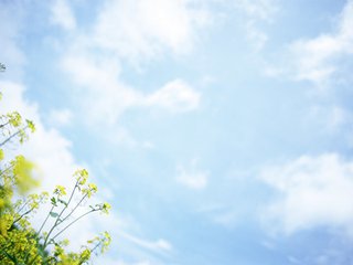 南通威锋重工教你如何维护数控弯折机